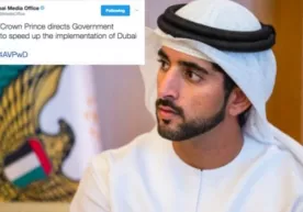 Dubay endi hammadan 10 qadam oldinda! фото