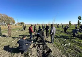 “Yashil makon” - 6000 ga yaqin mevali va manzarali daraxt ko‘chatlari ekildi фото