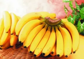Bananning biz bilmagan foydali xususiyatlari фото