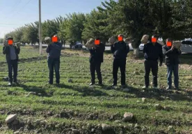 Bekobodda kesak ko‘targanlardan biri ishdan ketdi, qolganlar OAV nigohidan panada фото