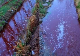 Қибрайдаги «қонли ариқ» ҳодисаси ўрганилди фото