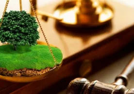 Ҳокимлар ноқонуний ер ажратгани учун нега жавобгарликка тортилмаган? фото