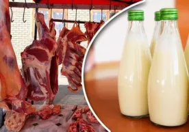 Go‘sht va sut narxini o‘zgarmasligi ta’minlanadimi? фото