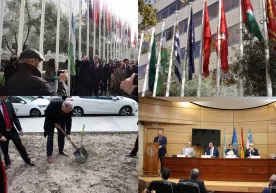 Халқаро зайтун кенгаши қароргоҳида Ўзбекистон байроғи кўтарилди фото