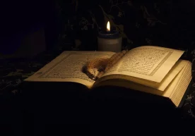 O‘zbekistonda ming oydan afzal Qadr kechasi qanday qarshilanadi? фото