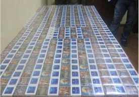 Тамаки маҳсулотларининг ноқонуний олиб кирилиши фош қилинди фото