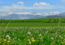 18 апрель куни ҳаво ҳарорати 30 даражагача кўтарилади фото