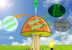 Bioelektroenergiya ishlab chiqara oladigan bionik qo‘ziqorinlar yaratildi фото