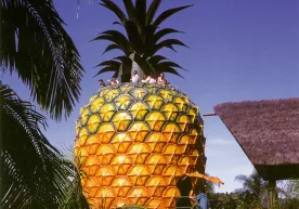 Eng ulkan ananas haqida фото