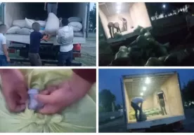 Андижонда буғдой ўрнига қум ортиб, фуқародан 38,5 млн сўм олган шахслар ушланди фото