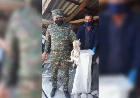 Фарғонадаги уйда дудбўронга тушиб қолган тулки болалари қутқарилди фото