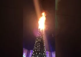 "Lokomotiv" bog‘ida Yangi yil archasi yonib ketdi фото