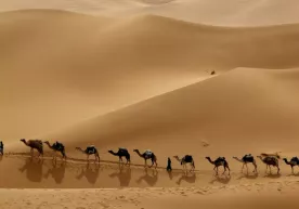 Карвондаги йўловчи фото