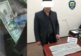 Тошкентда 6000 доллар эвазига фуқарони ўқишга киритмоқчи бўлган шахс ушланди фото