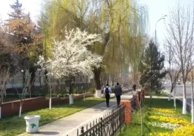 O‘zbekistonda kelayotgan hafta qanday ob-havo bilan boshlanishi ma’lum qilindi фото