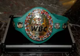WBC назвал лучшего боксера года фото