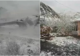 Qamchiq dovonida qor yog‘moqda (video) фото