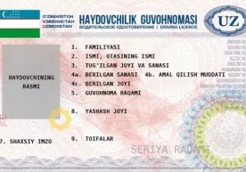 Янги ҳайдовчилик гувоҳномаларини 20 октябрдан олиш мумкин фото