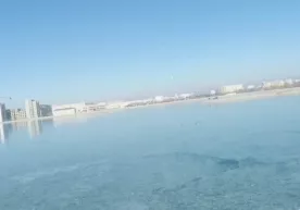 Navoiyda sovuq sababli o‘rdaklar ko‘lga yopishib qoldi фото
