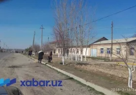 «Bu javobni o‘qisa, hayratlanib, Diana boshqatdan o‘lardi!» фото