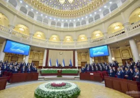 Prezident deputatlarga: «Bir oyda bitta muammo hal qiling, sizni tarixingiz paydo bo‘ladi» фото