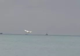 Ту-154 ҳалокатга учраган жойдан 5 кишининг жасади топилди фото