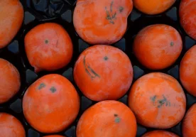 Uzbekistan earned $57 million from persimmon exports фото