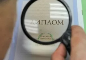 Оҳангаронда бошланғич таълим ўқитувчиси сохта диплом билан ишга киргани фош этилди фото