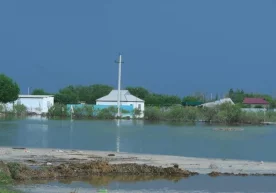 Turkiston viloyatidagi favqulodda holat: Qozog‘iston O‘zbekiston bilan chegarani ochadi фото
