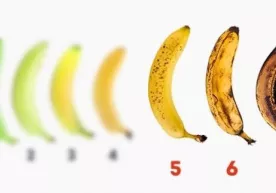 Bananning biz bilmagan 10 foydali xususiyati фото