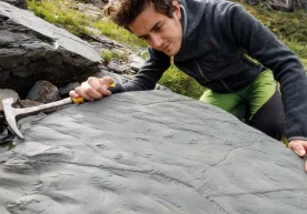 Alp tog‘larida turistlar 280 million yillik qadimiy hayvonlar izlariga duch keldi фото