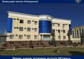 MIB: Ishni davom ettirish istagi bo‘lmasa ta’tildagi xodimlar bezovta qilinmaydi фото