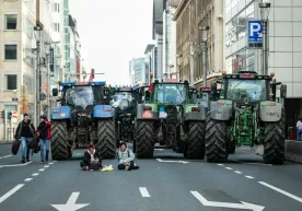 Dehqonlar «qo‘zg‘oloni»: yevropalik fermerlar nimadan norozi? фото