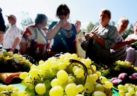 O‘zbekiston meva va sabzavotlarni eng ko‘p qaysi davlatlarga sotmoqda? фото