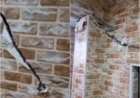 Devorlari yorilgan Toshkentdagi turar joyni qurgan va sotgan odam qamoqda ekani ma’lum qilindi фото