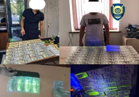 Департамент ўқишга киритиб қўйиш билан боғлиқ фирибгарлик ҳолатларини аниқлади фото