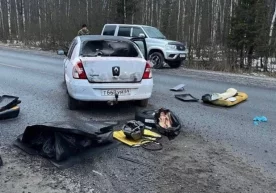 Moskvadagi terakt: 11 kishi qo‘lga olindi фото