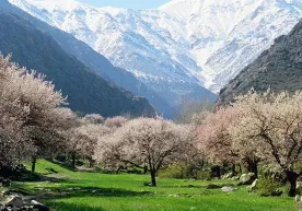 Келгуси ҳафта бошида қандай об-ҳаво кутилмоқда? фото