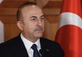 Turkiya Suriyada IShIDni bir o‘zi yo‘q qilib tashlashi mumkinligini bildirdi фото