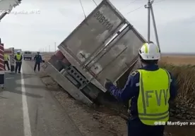 Дарахт кўчатлари ортилган юк автомашинаси ағдарилиб кетди (видео) фото