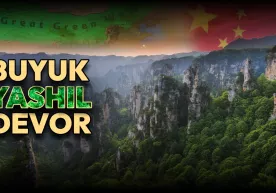 Buyuk yashil devor yoxud Xitoy barpo etayotgan ulkan ekologik megaloyiha фото