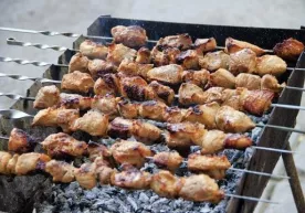 Olimlar kabobning sog‘liq uchun zararli ekanligini ma’lum qilishdi фото