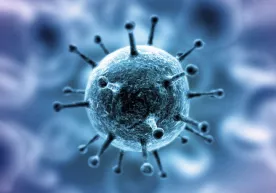 Koronavirus inson tanasiga kirishining yangi yo‘li aniqlandi фото
