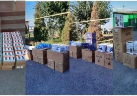 Salkam 1 milliard so‘mlik tovar-moddiy boyliklarning noqonuniy savdosi fosh etildi фото