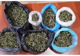 1 kilogrammdan ziyod “marixuana” savdosiga chek qo‘yildi фото