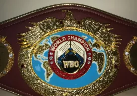 Янги WBO рейтингида ўзбекистонлик боксчилар банд этган ўринлар билан танишинг фото