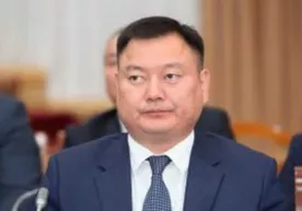 Bosh vazirning sobiq o‘rinbosari qo‘lga olindi фото