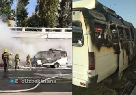 Toshkentda mikroavtobus yonib ketdi фото