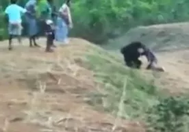 Айиқ билан селфига тушмоқчи бўлган такси ҳайдовчиси ҳалок бўлди (видео) фото