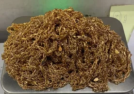 Bir guruh o‘zbekistonliklar Dehli aeroportida 5,3 kg oltin bilan qo‘lga tushdi фото